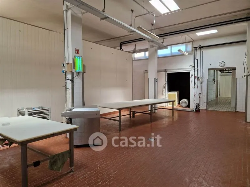 Toad - Mixed-Use Rustico with Industrial Space in Falconara Marittima