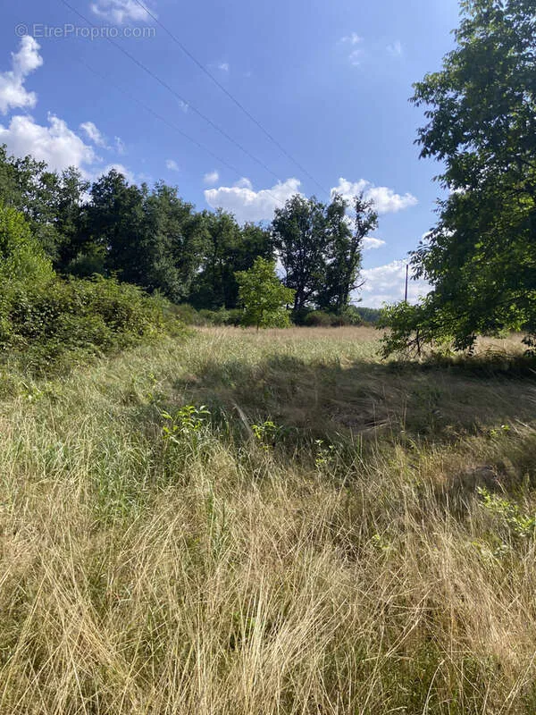 Aed - Longère with Dependencies in Countryside