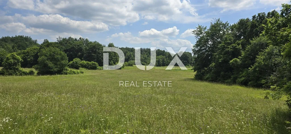 Jardin - Agricultural Land with Vineyard Potential in Pićan