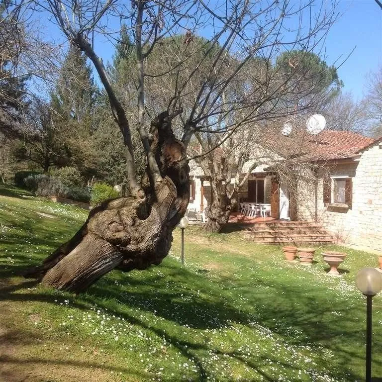 Jardin - Luxury Villa with Pool in Borgo San Lorenzo