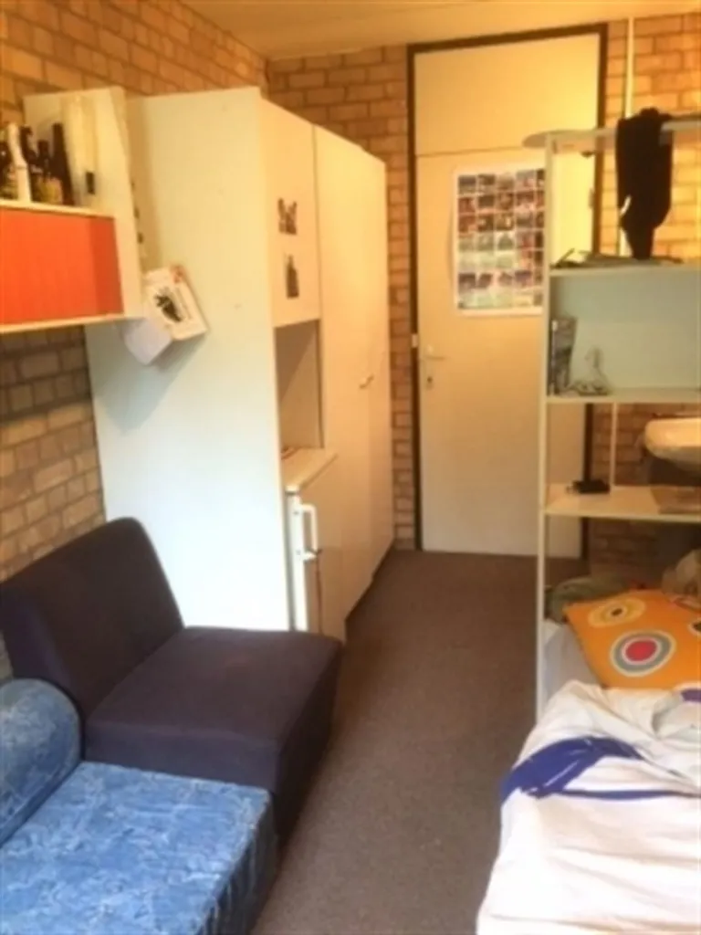 Magamistoad - Student Room with Shared Facilities in UCL Campus