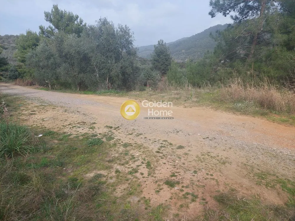 Aed - Buildable Plot with Unrestricted View in Agrinio Centre