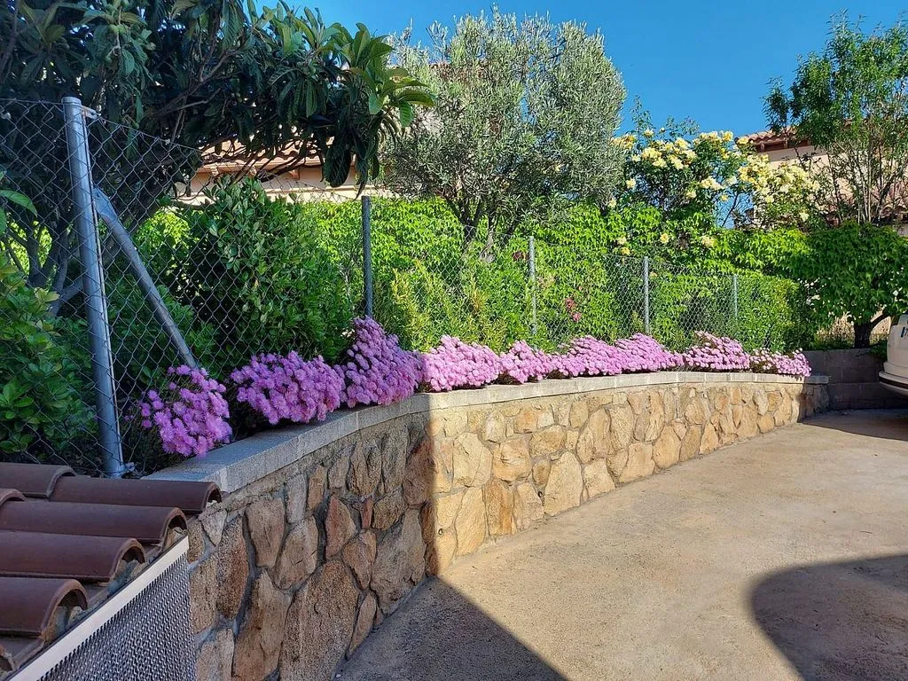 Jardin - Chalet with Pool in Navas del Rey