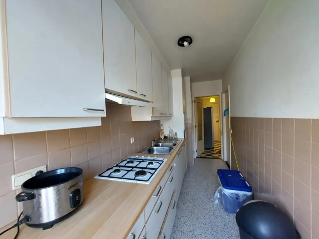 Cucina - Renovate Apartment with Park Access in Antwerp