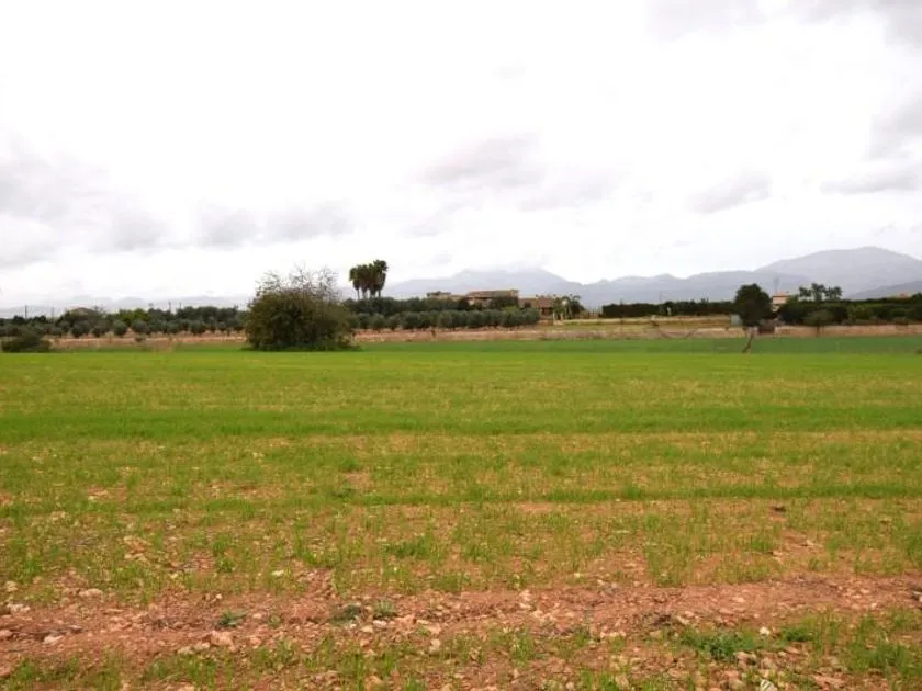 Jardin - Maison à Balears (Illes)