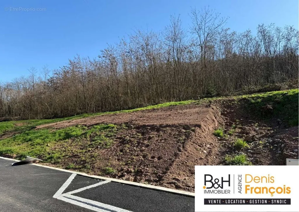 Aed - Viabilised Plot in Katzenthal near Colmar