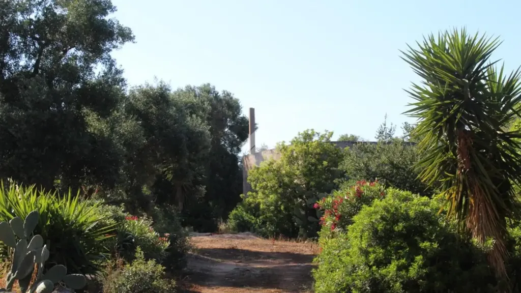 Jardin - Rustic Farmhouse with Pool Potential in Carovigno