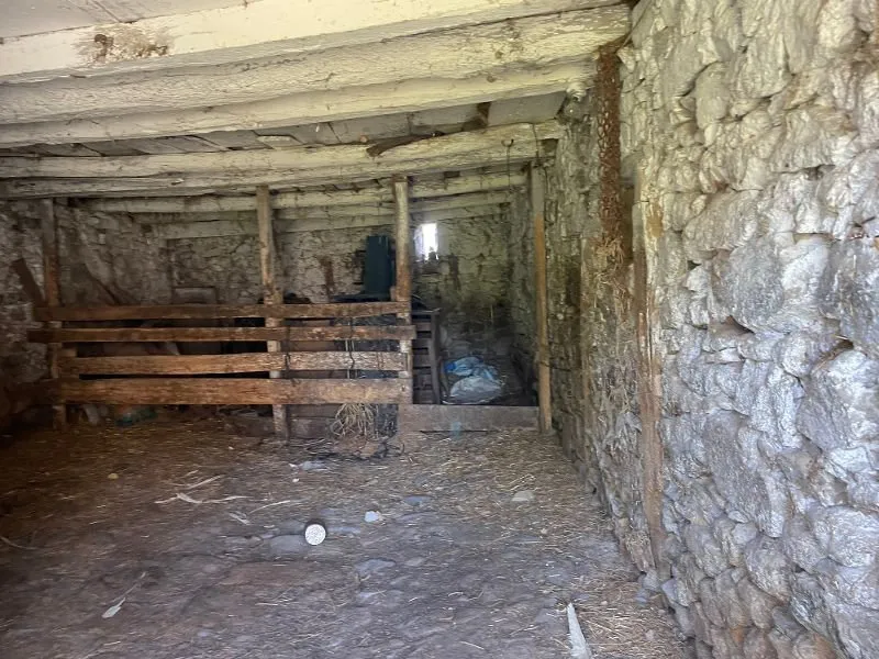 Toad - Farmhouse with 12 Hectares in Creuse