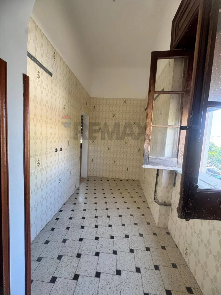 Toad - Spacious Apartment with Terrace in Augusta