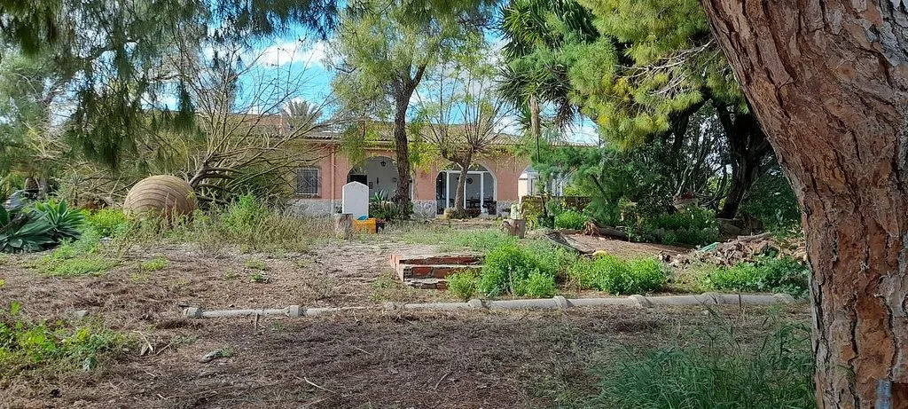 Jardin - Chalet with Garden and Air Conditioning in Elche