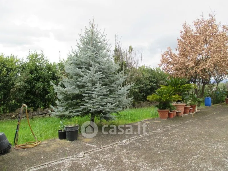 Jardin - Rustic Villa with Olive Grove in Pago Veiano