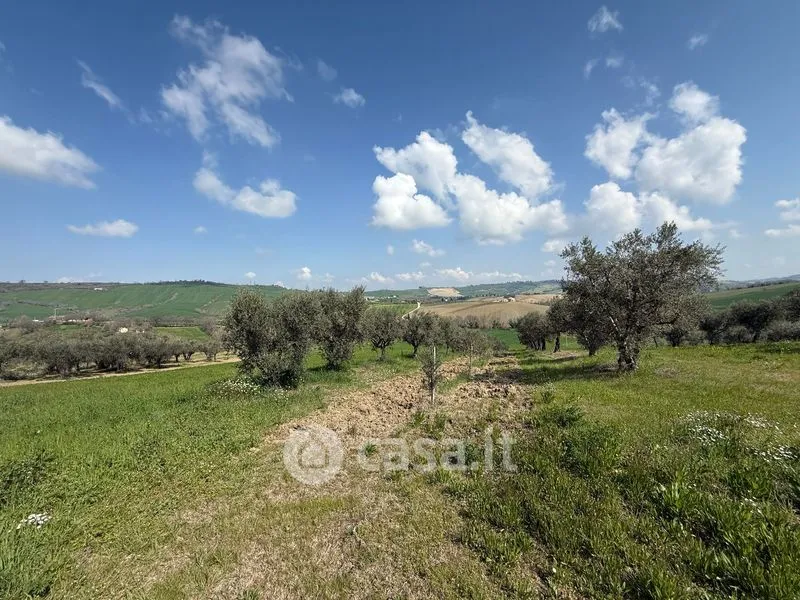 Garden - Rustic Farmhouse with Garden in Loro Piceno
