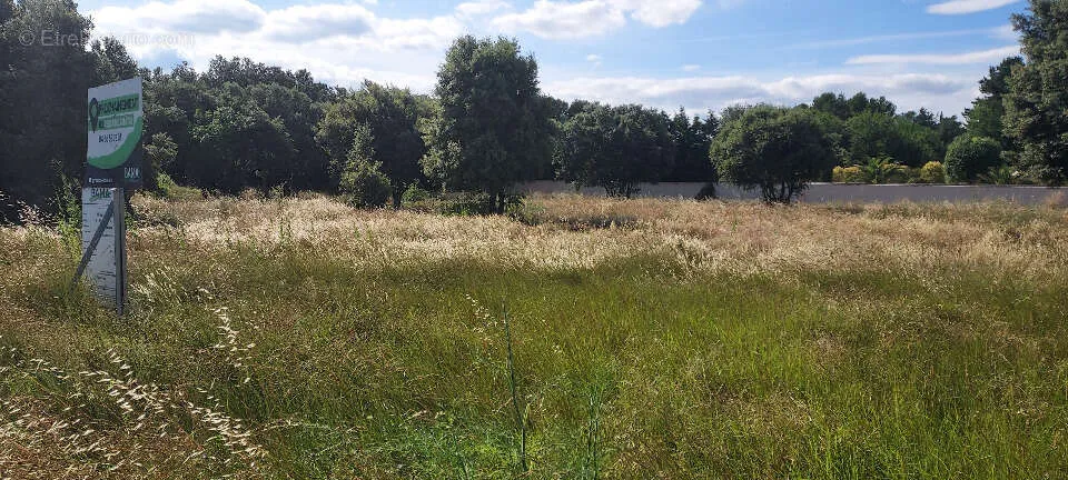 Garden - Buildable Plot with South View in Caumont-sur-Durance