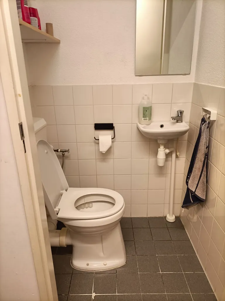 Salles de bain - Room Share in Bijlmer with Balcony