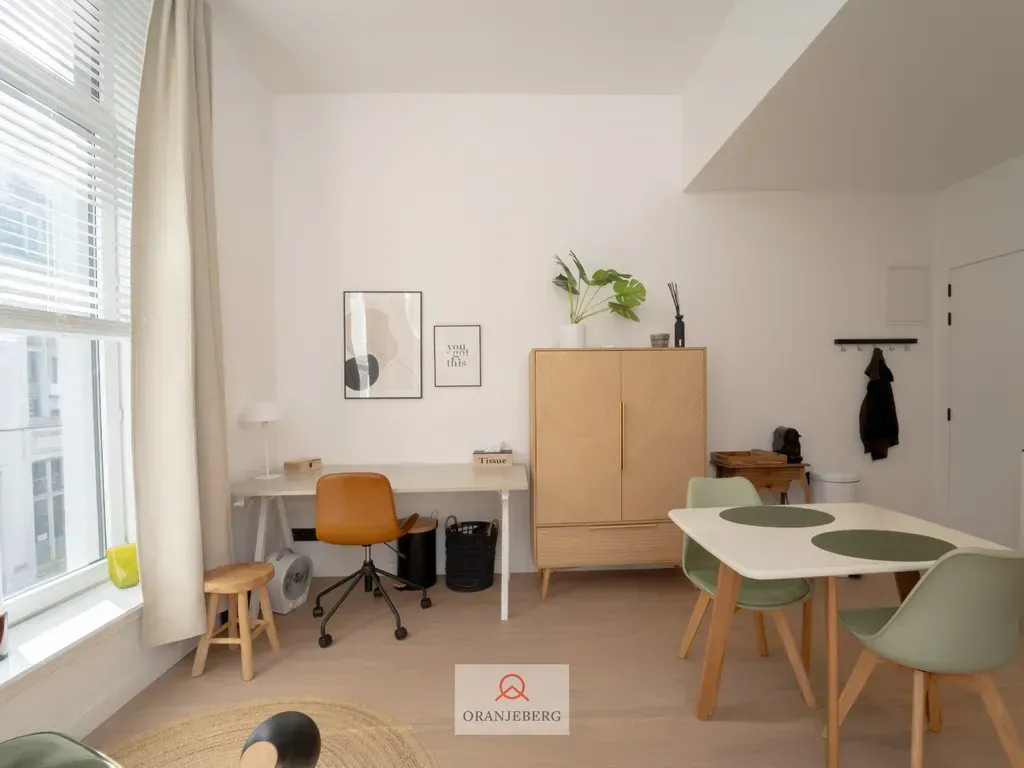 Kabinet - Renovated Studio in City Centre, Ghent