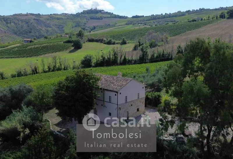 Vue aérienne - Restored Rustico with Vineyard in Cossignano