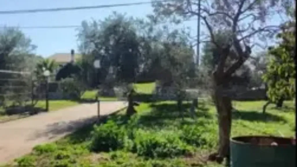 Jardin - Villa with Fruit Orchard in Noto