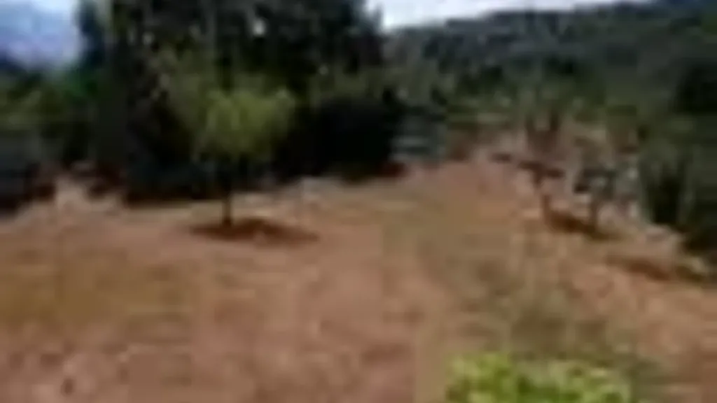 land_plot