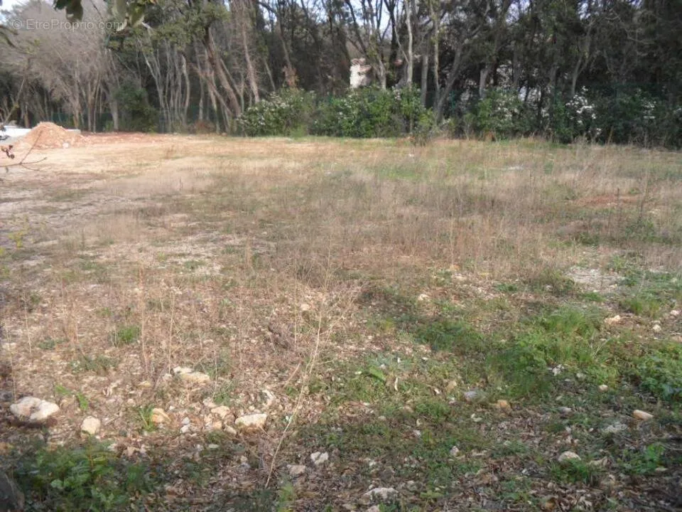 Jardin - Terrain à Bâtir avec Jardin à Lattes