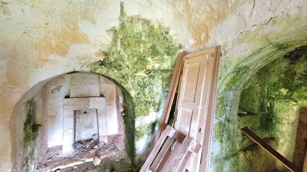 Stanze - Trullo da ristrutturare con terreno a Carovigno