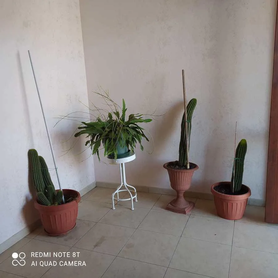 Terrazza - Bifamiliar Villa with Garden in Avellino