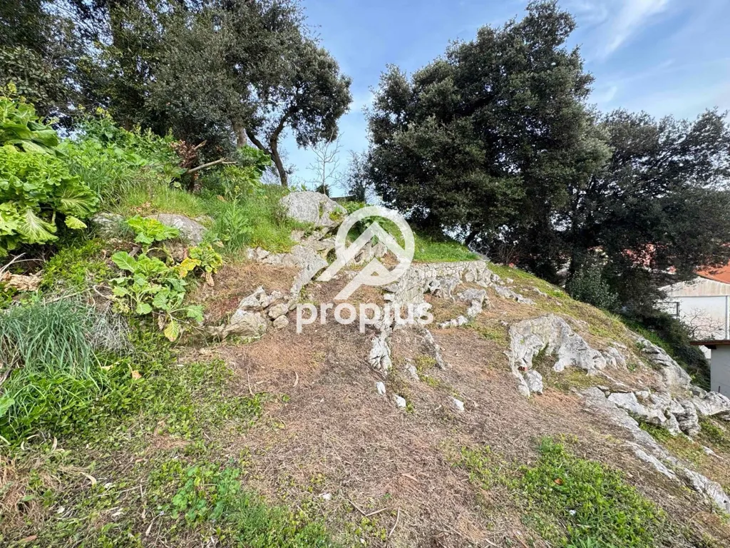 Aed - Chalet with Mountain View in Celoriu