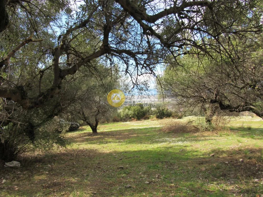 Jardin - Plot with Panoramic View in Patras-Karyes