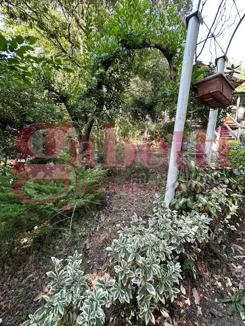 Aed - Rustic House with Garden in Collesalvetti