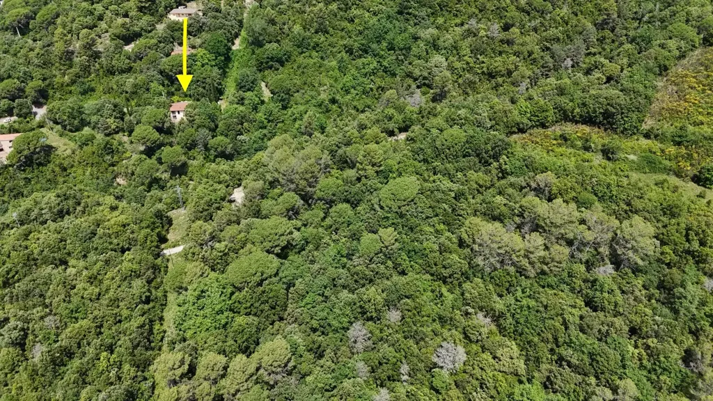 Õhuvaade - Chalet with Private Forest in Sant Aniol de Finestres