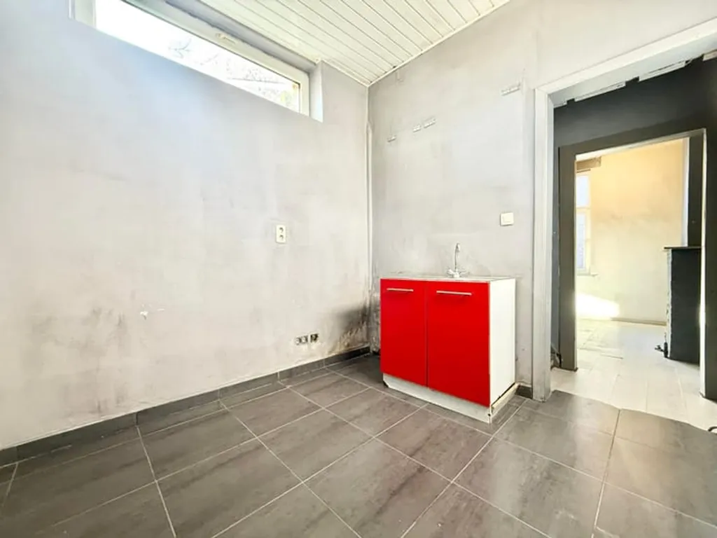 Toad - Spacious House to Renovate in Seraing
