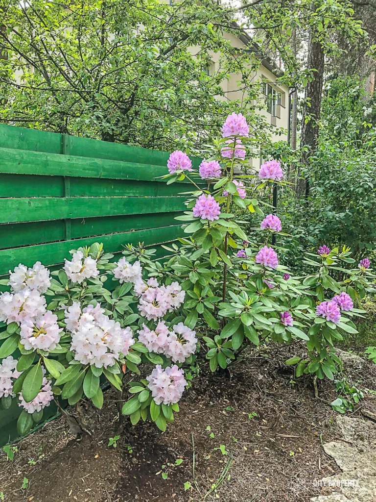 Maison 6 pièces à Tallinn
