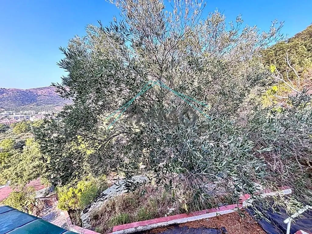 Jardin - Renovated Villa with Views in Roses