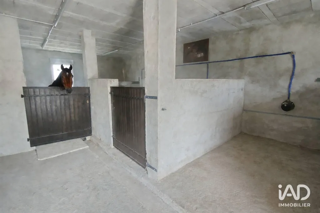 Toad - Renovated House with Land in Pleure