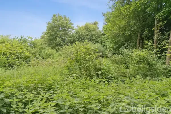 Giardino - Plot for Development with Nature View in Kårup