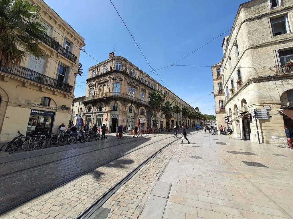 Välivaade - Commercial Premises in Montpellier City Centre