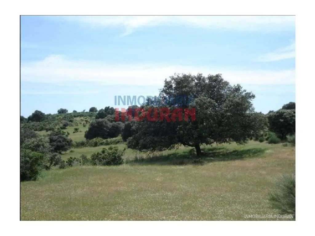 Aed - Luxury Villa with Extensive Land in Cáceres