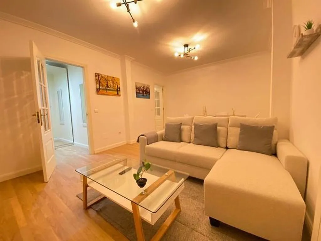 Séjour - Furnished Flat in Central Madrid