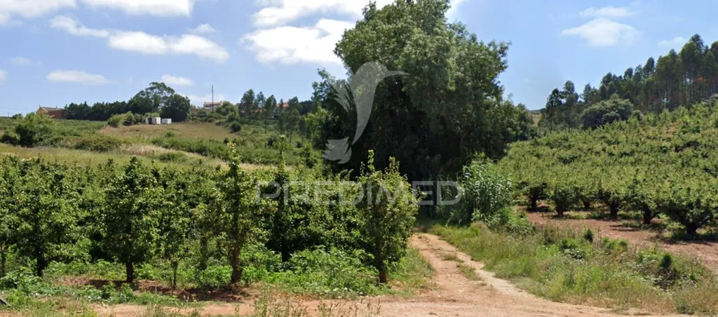 Giardino - Rural Land with Access Road in Cadaval