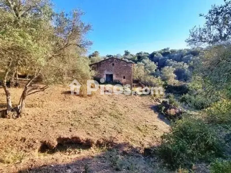 Aed - Rustic House with Olive Grove in La Nava