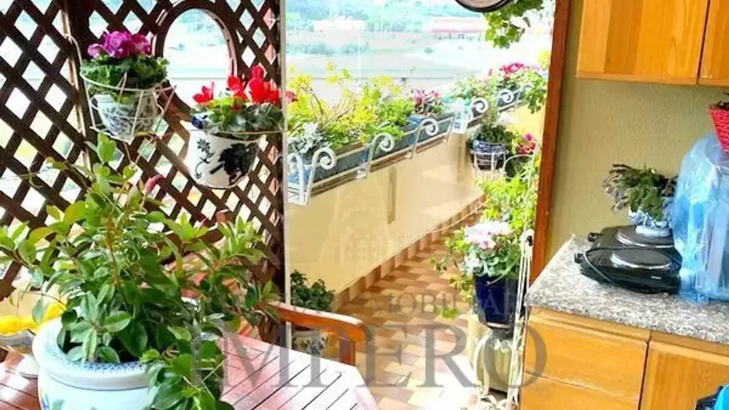 terrace_patio