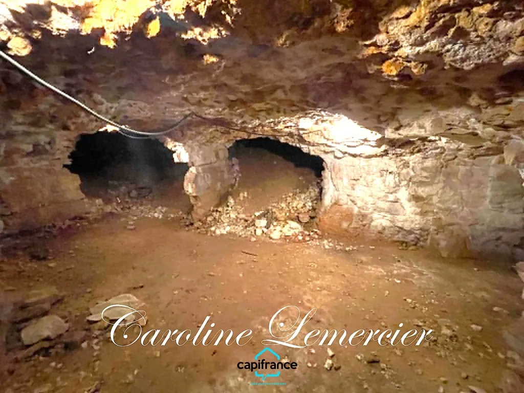 Rooms - Farmhouse with Caves near Connerre