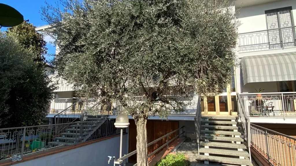 Terrasse - Terraced Villa with Garden in Carpi