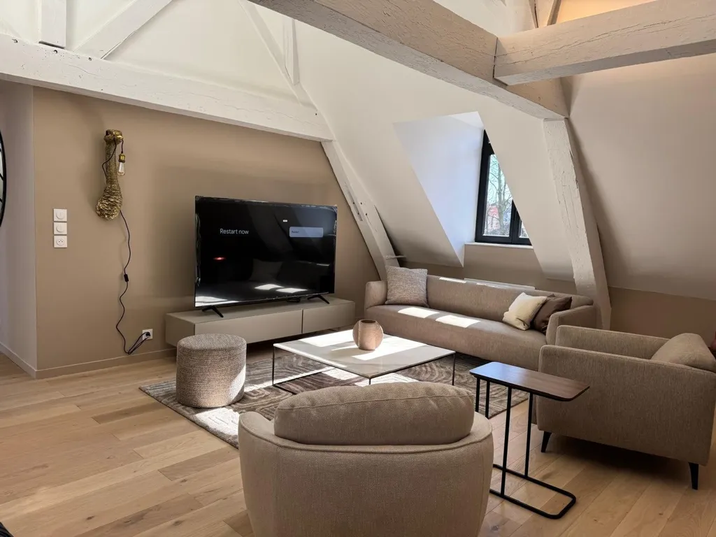 Séjour - Appartement Luxe Duplex à Lille avec Garage