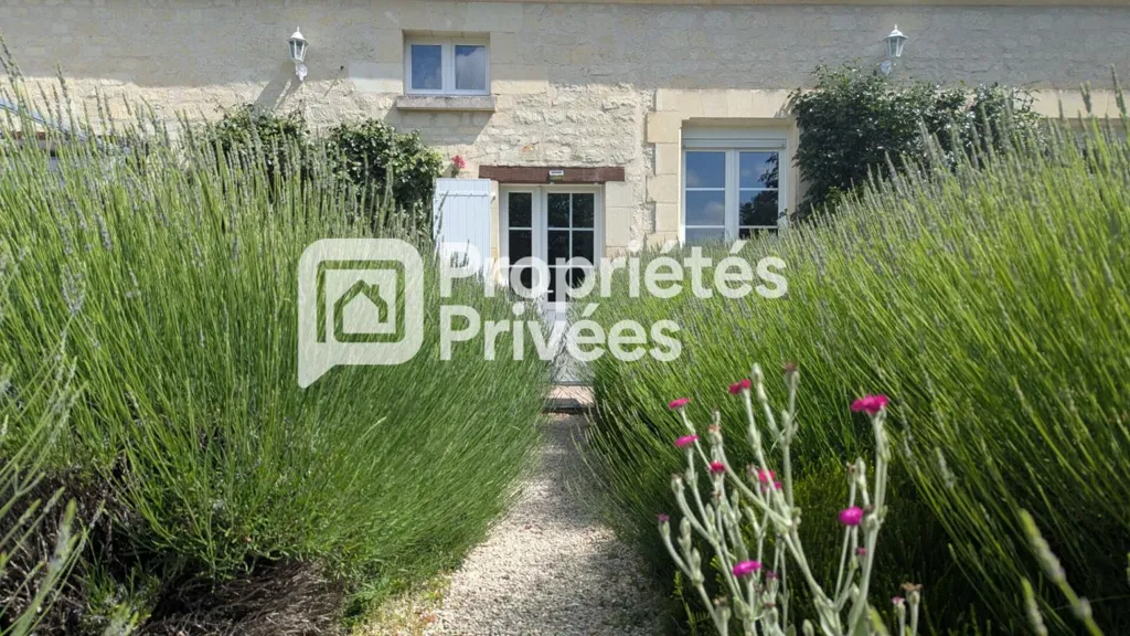 Aed - Luxury Farmhouse with Pool in Chinon