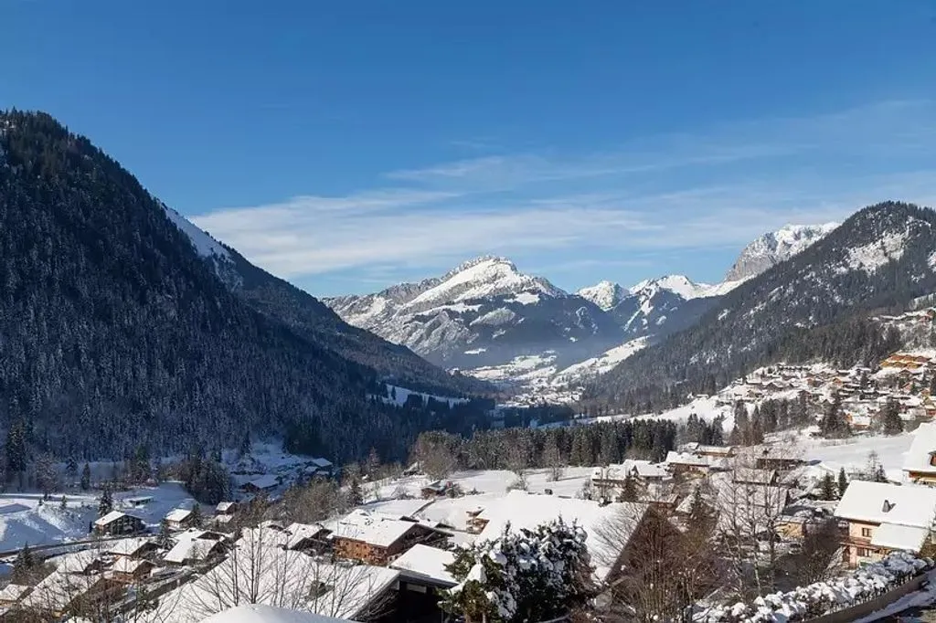 Luxury Flat with Mountain View in Châtel