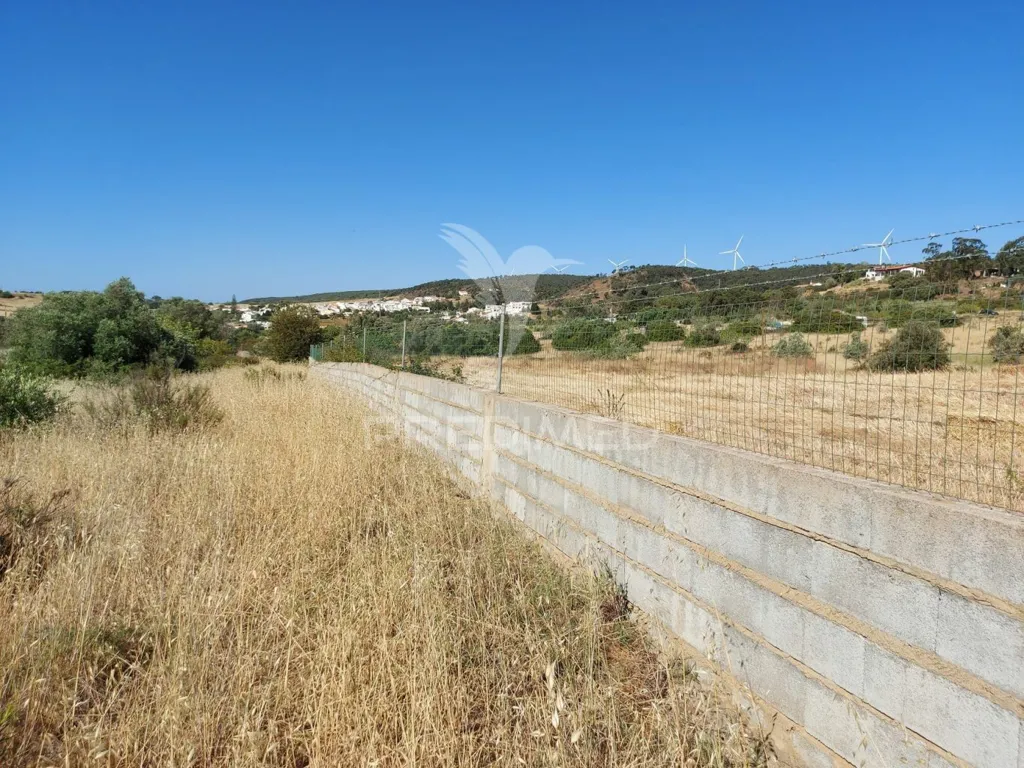 Aed - Delimited Land with Fruit Trees near Lagos