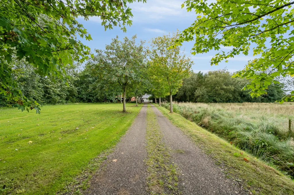Esterno - Architect-Designed Farmhouse with Stables in Brande