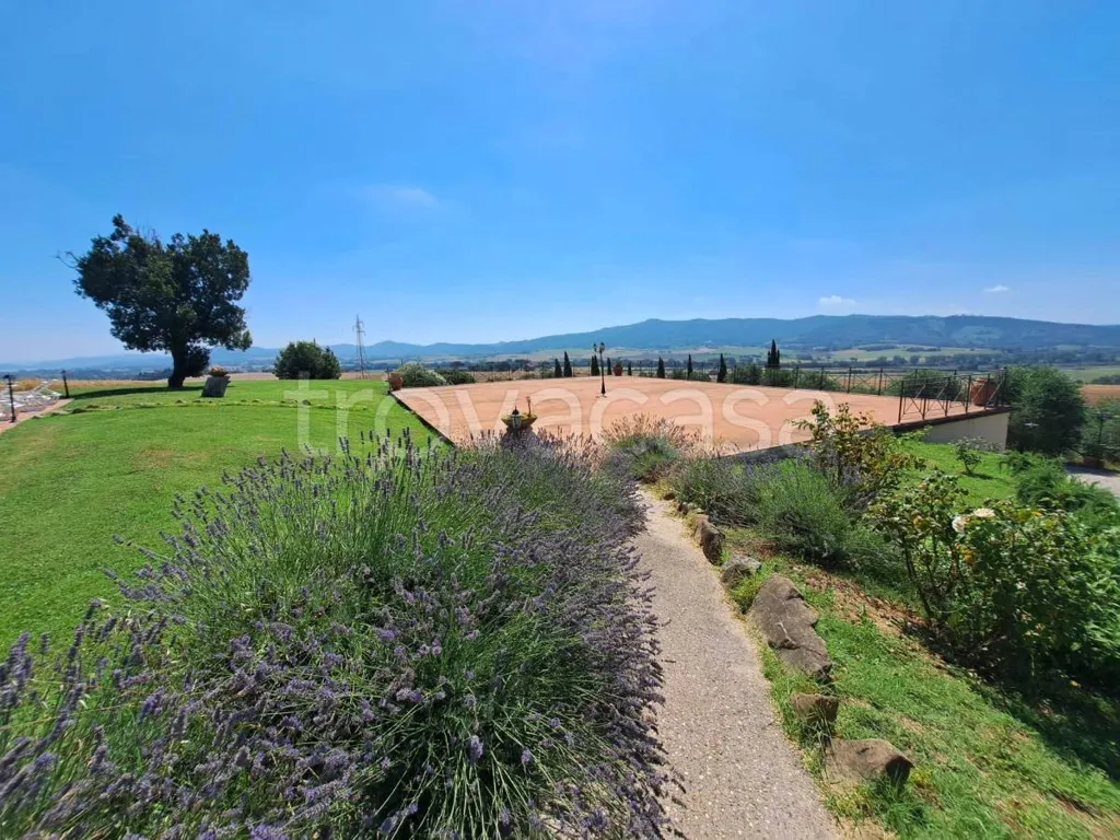Aed - Casale with Pool in Castiglione del Lago