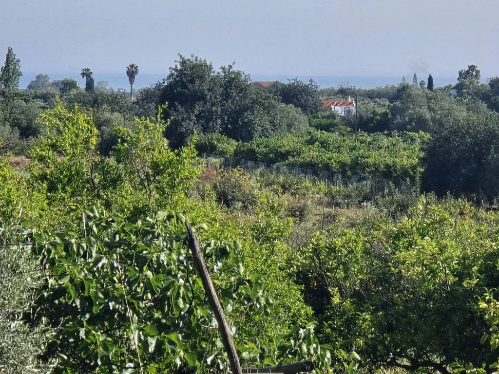 Jardin - Farmhouse with Fruit Trees near Tavira