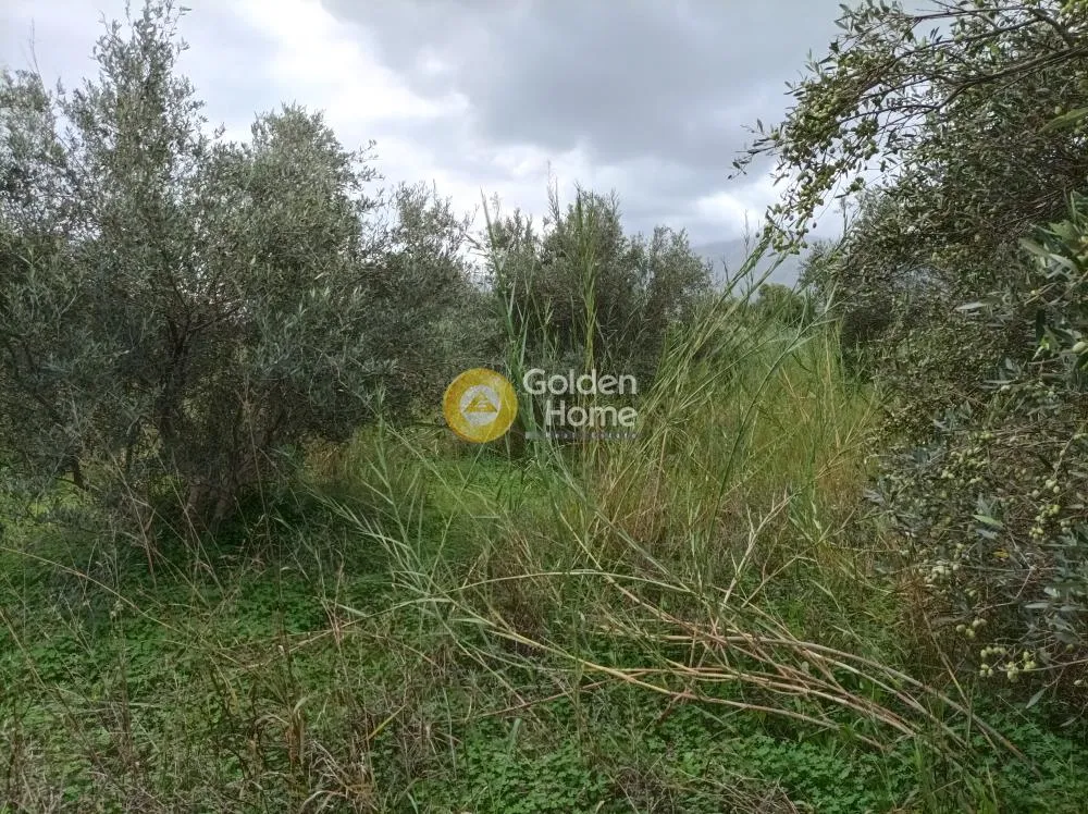 Aed - Buildable Plot with Sea View in Aprovouna, Chania